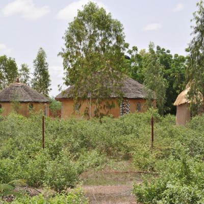 Le jardin de Kassou à Koudougou