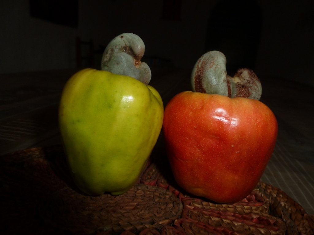pomme cajou fruit